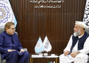 د سوداګرۍ وزارت سرپرست د پاکستان له څانګړي استازي سره کتلي