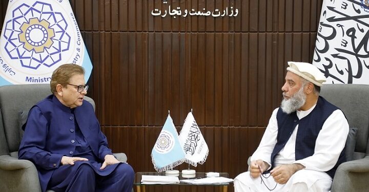 د سوداګرۍ وزارت سرپرست د پاکستان له څانګړي استازي سره کتلي