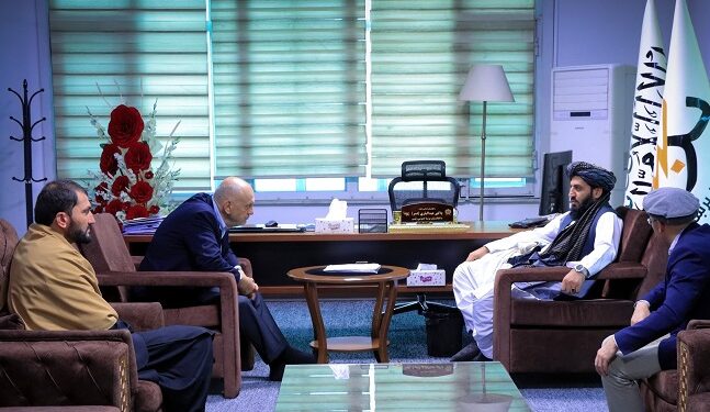 د ترکي ۷۷ کمپنۍ مسوول؛ له برېښنا شرکت سره د همکارۍ ډاډ ورکړی