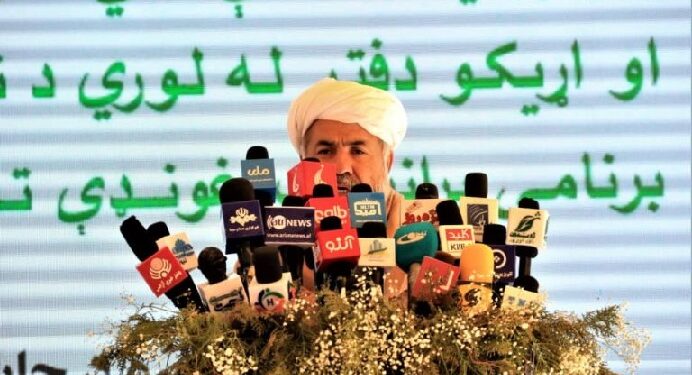 راتلونکی کال په هیواد کې څه باندې ۱۶ میلیونه نیالګي کېنول کیږي