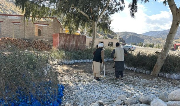 لغمان کې پر ۲۵۰ هکټاره ځمکه د زیتونو بڼونه جوړېږي