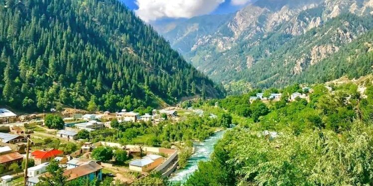 نورستان کې ۱۱ زره هکتاره څړځایونه بيا رغول شوي