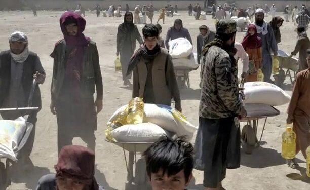 اوچا: تېر کال ۲۰.۴ میلیونو افغانانو بشري مرستې ترلاسه کړې