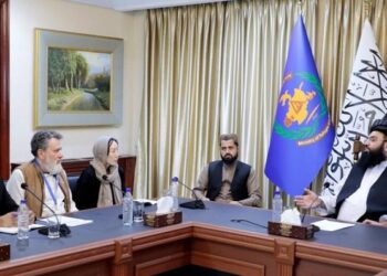 د کډوالو وزارت: د افغان کډوالۍ د ستونزې حل وخت او نړۍوالو مرستو ته اړتیا لري