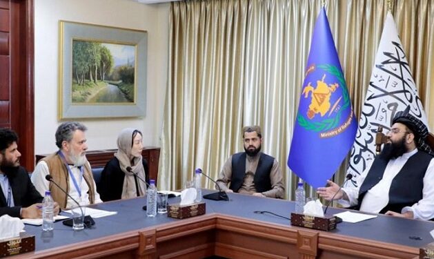 د کډوالو وزارت: د افغان کډوالۍ د ستونزې حل وخت او نړۍوالو مرستو ته اړتیا لري