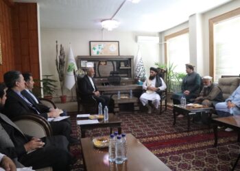 کرنې وزارت: ایران غواړي له افغانستان څخه غوښه وارد کړي