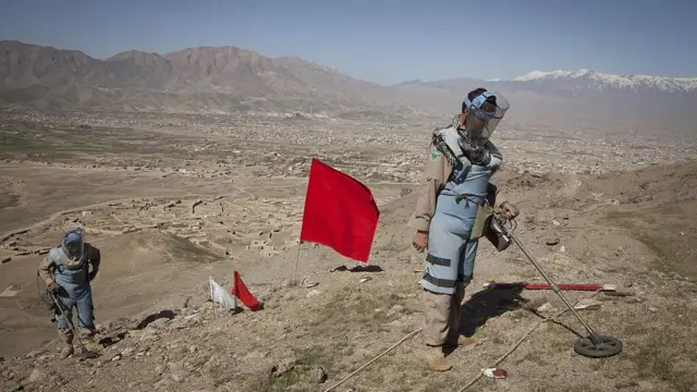 سور صلیب: افغانستان لا هم د ناچاوده توکو له ګواښ سره مخ دی