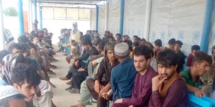 کډوالو وزارت: د پاکستان له زندانونو ۲۹ افغان کډوال خوشې شوي