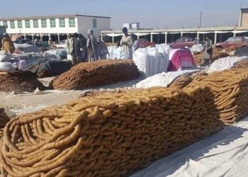 د افغانستان د وچې مېوې په صادراتو کې ۷۰ سلنه کموالی راغلی دی