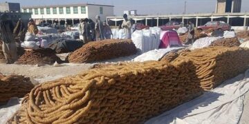 د افغانستان د وچې مېوې په صادراتو کې ۷۰ سلنه کموالی راغلی دی