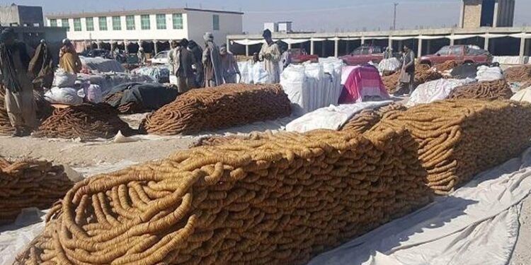د افغانستان د وچې مېوې په صادراتو کې ۷۰ سلنه کموالی راغلی دی