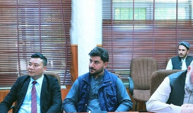 د چین د موټر جوړولو یو شرکت؛ په افغانستان کې ۵۰ میلیونه ډالر پانګونه کوي