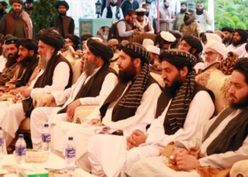 عبدالباري عمر: سږکال به ۸۰ ولسوالیو ته د برښنا شبکې وغځول شي
