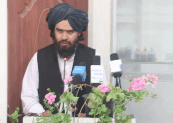 کاپیسا ښاروال: تېر کال مو څه باندې ۳۴ میلیونه افغانۍ عواید راټول کړي