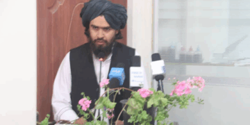 کاپیسا ښاروال: تېر کال مو څه باندې ۳۴ میلیونه افغانۍ عواید راټول کړي