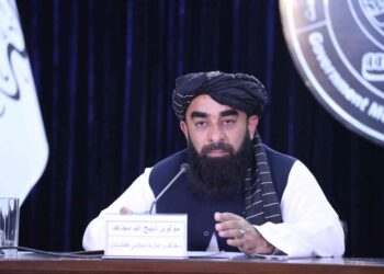 مجاهد: د تُرک دولتونو سازمان غړو سره ښې اړیکې غواړو