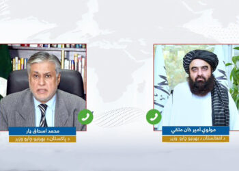 امیرخان متقي له خپل پاکستاني سیال سره خبرې کړې دي