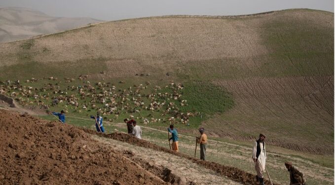 اروپايي ټولنه: له افغانانو خپل ملاتړ ته دوام ورکوو
