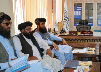 د کډوالو وزارت د دفتر رییس د سویډن او ناروې د کډوالو ادارو له استازو سره کتلي