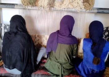 یو این ډي پي؛ افغانستان کې د ۱۰ میلیون ډالرو په ارزښت پروژه پیل کړې
