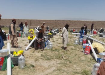 پکتیا کې پر ۱۲۵ مالدارانو د مالدارۍ توکي ووېشل شول