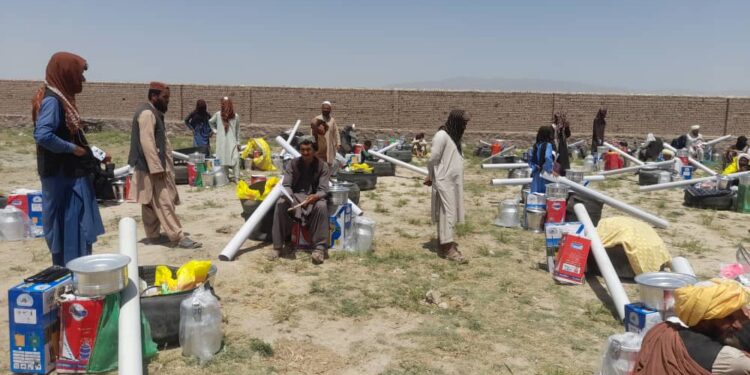پکتیا کې پر ۱۲۵ مالدارانو د مالدارۍ توکي ووېشل شول