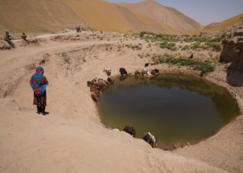 ملګري ملتونه: وچکالۍ د کلیوالو خلکو ژوند له ګواښ سره مخ کړی