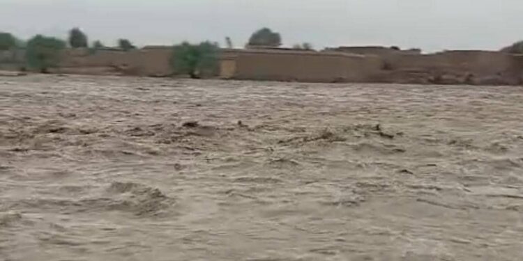 ننګرهار کې سېلابونو خلکو ته درانه مالي او ځاني زیانونه اړولي