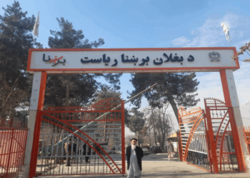 د بغلان برېښنا ریاست څه باندې ۲۲۴ میلیونه افغانۍ عواید راټول کړي