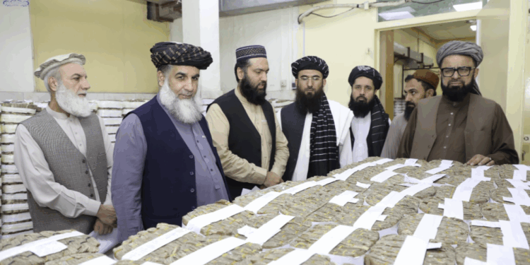 څه باندې یو میلیارد نورې زړې افغانۍ وسوځول شوې