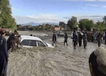 خوست کې وروستیو ورښتونو د مرګ ژوبلې ترڅنګ ګڼ مالي زیانونه اړولي