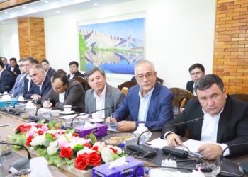 برادر: ازبکستان دې د برېښنا پروژو پلي کولو کې کیفیت ته پام وکړي