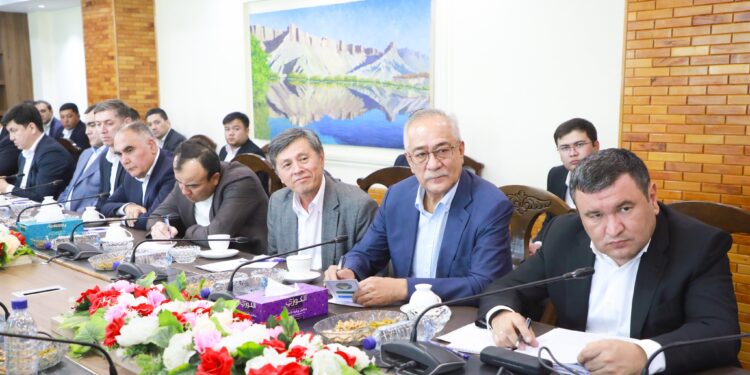 برادر: ازبکستان دې د برېښنا پروژو پلي کولو کې کیفیت ته پام وکړي