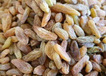 کندهار کې یو شمېر بڼوال له حکومته خپلو ممیزو ته نړۍوال بازار غواړي