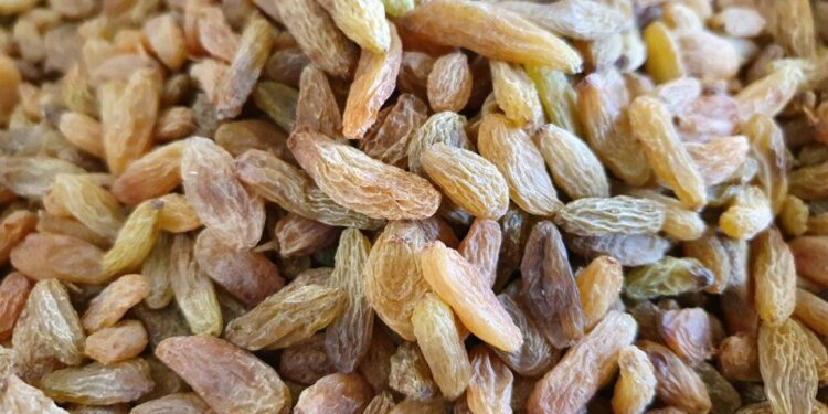 کندهار کې یو شمېر بڼوال له حکومته خپلو ممیزو ته نړۍوال بازار غواړي