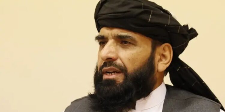 سهیل شاهین د هالنډ له سفیرې سره د افغان کډوالو پر ستونزو خبرې کړې