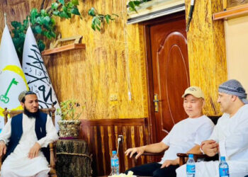 یو شمېر چینايي پانګوالو په پروان کې پانګونې ته لېوالتیا ښودلې