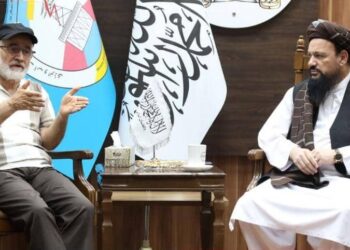 د اوبو او انرژۍ وزارت سرپرست له يو شمېر بهرنیو پانګه‌والو سره کتلي