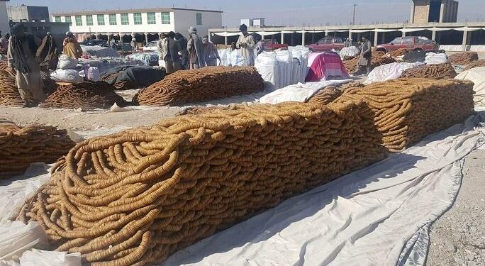 له کندهار څخه ۱۰۰ ټنه انځر عربي هېوادونو ته صادر شول