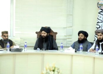 د کلیو بیارغونې او پراختیا وزیر د موسساتو له استازو سره غونډه وکړه
