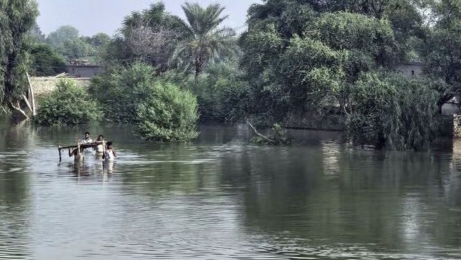 پاکستان؛ د پنجاب ایالت ډېرې برخې د سېندونو د اوبو لوړېدو له امله ډوبې شوې