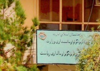 کندهار؛ د سپین بولدک ګمرک ته ۱۰۰۴ جریبه ځمکه وسپارل شوه