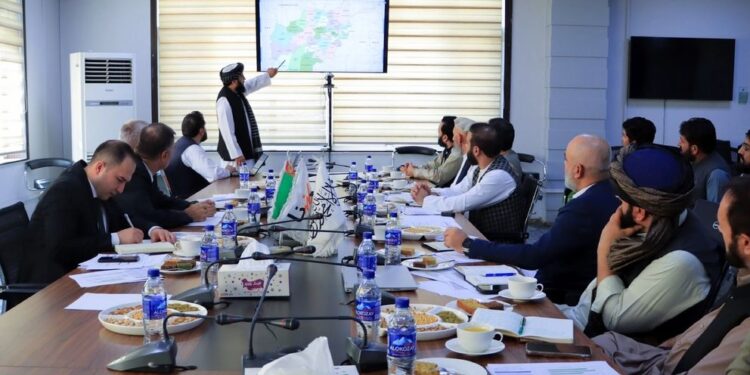 برېښنا شرکت؛ ترکمني پلاوي سره د برېښنايي پروژو پر پرمختګ خبرې شوې