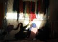 یو این ډي پي: افغانستان کې مو زرګونه کسانو ته کاري فرصتونه برابر کړي