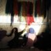 یو این ډي پي: افغانستان کې مو زرګونه کسانو ته کاري فرصتونه برابر کړي