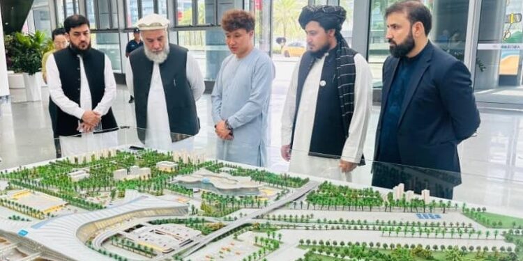 عزیزي د چین هاینان ښار له مهمو صنعتي او لوژستیکي تاسیساتو لیدنه کړې