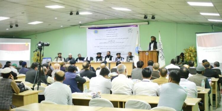 روغتیا وزارت: ابنسینا روغتون کې د انلاین ډیټابېس سیسټم پرانیسته وشوه