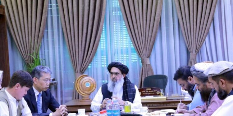 مولوي نور جلال جلالي کابل کې د چین له سفیر جاو شېنګ سره کتلي