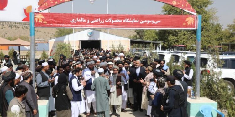کرنې وزارت؛ د کرنیزو محصولاتو او مالدارۍ ۳۳م نندارتون پرانیستل شوی
