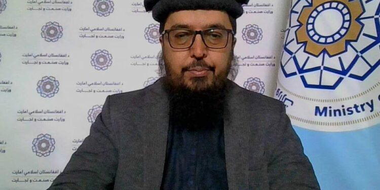 سوداګرۍ وزارت:د لسګونه میلیون ډالرو په ارزښت وچې میوې صادرې شوې
